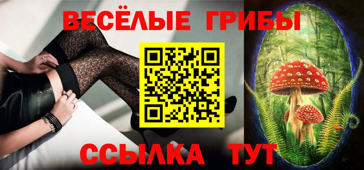 Псилоцибиновые грибы GOLDEN TEACHER  Галлюциногенные грибы прущие грибы  Вход с VPN  Михайловка 