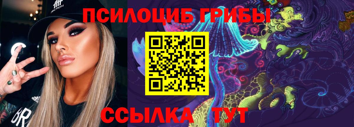Псилоцибиновые грибы Cubensis Михайловка